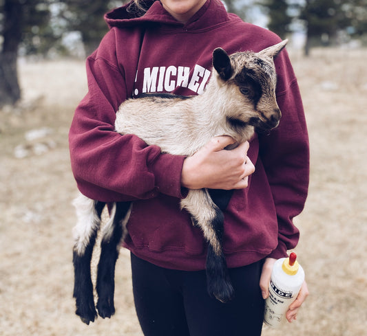 SOLD Alpine Doeling