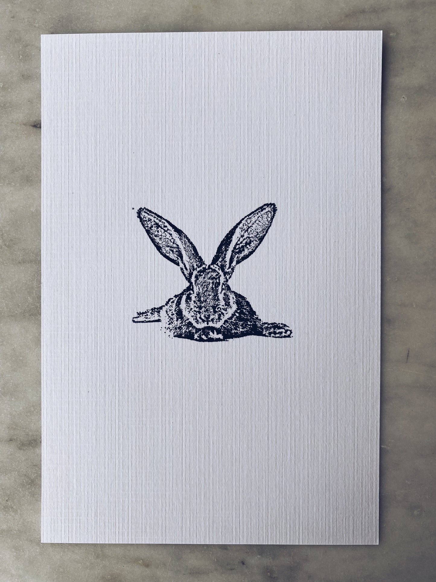 Rabbit Notecards with Envelopes
